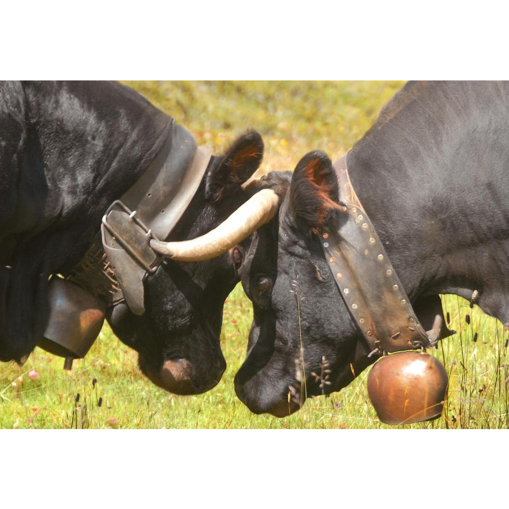 Campanaccio per animali