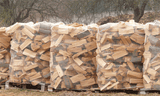 Getrocknetes Buchenbrennholz auf Einwegpalette