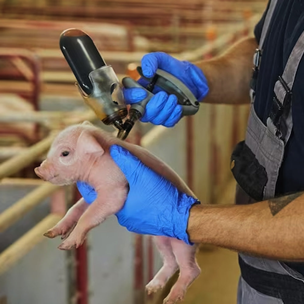 Siringa con Supporto per Flacone