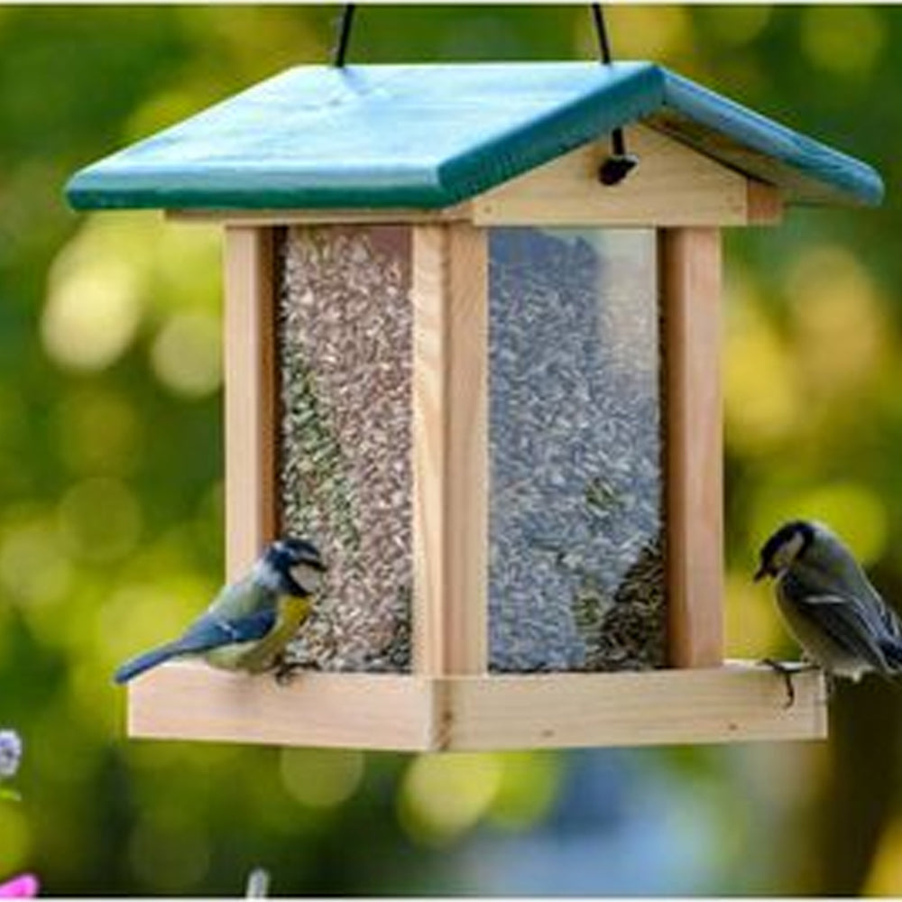 Mangiatoia uccelli selvatici 9