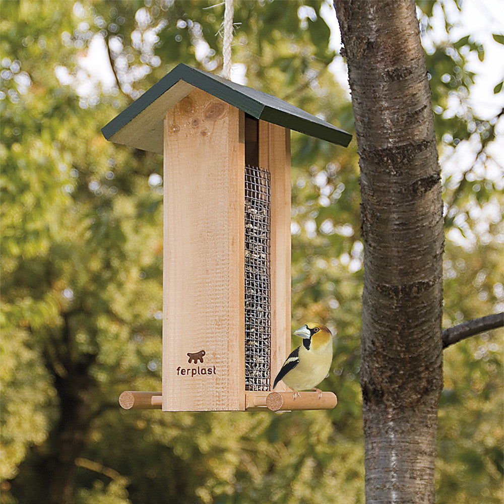 Mangiatoia uccelli selvatici 9