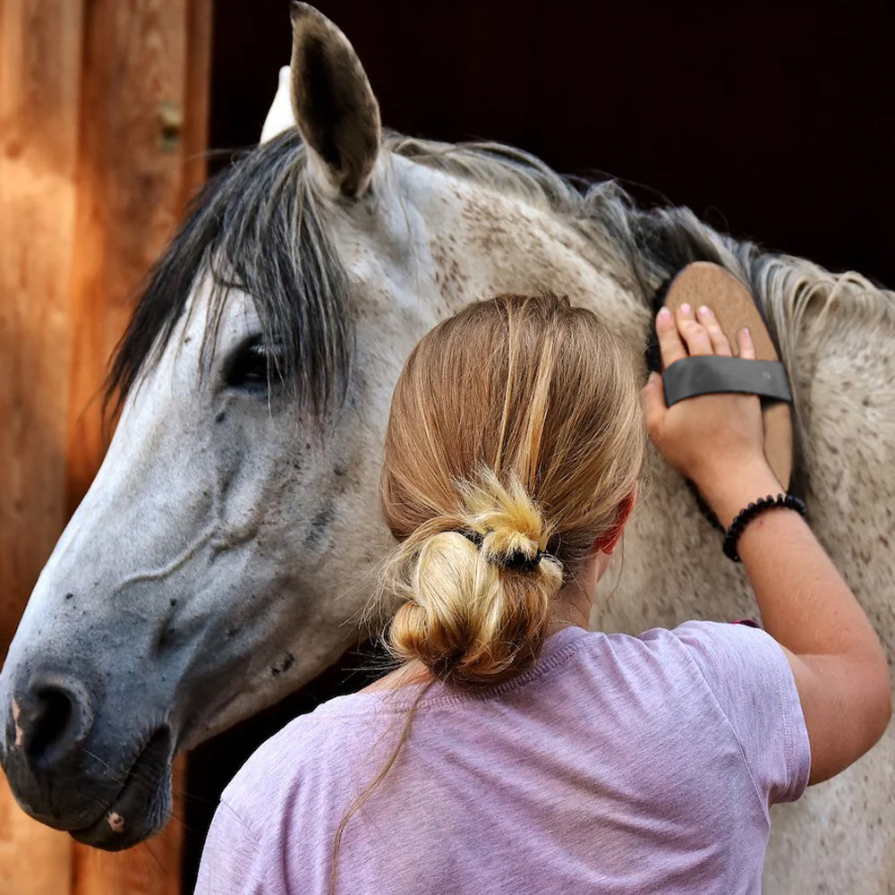Brusca in legno con setole ottone