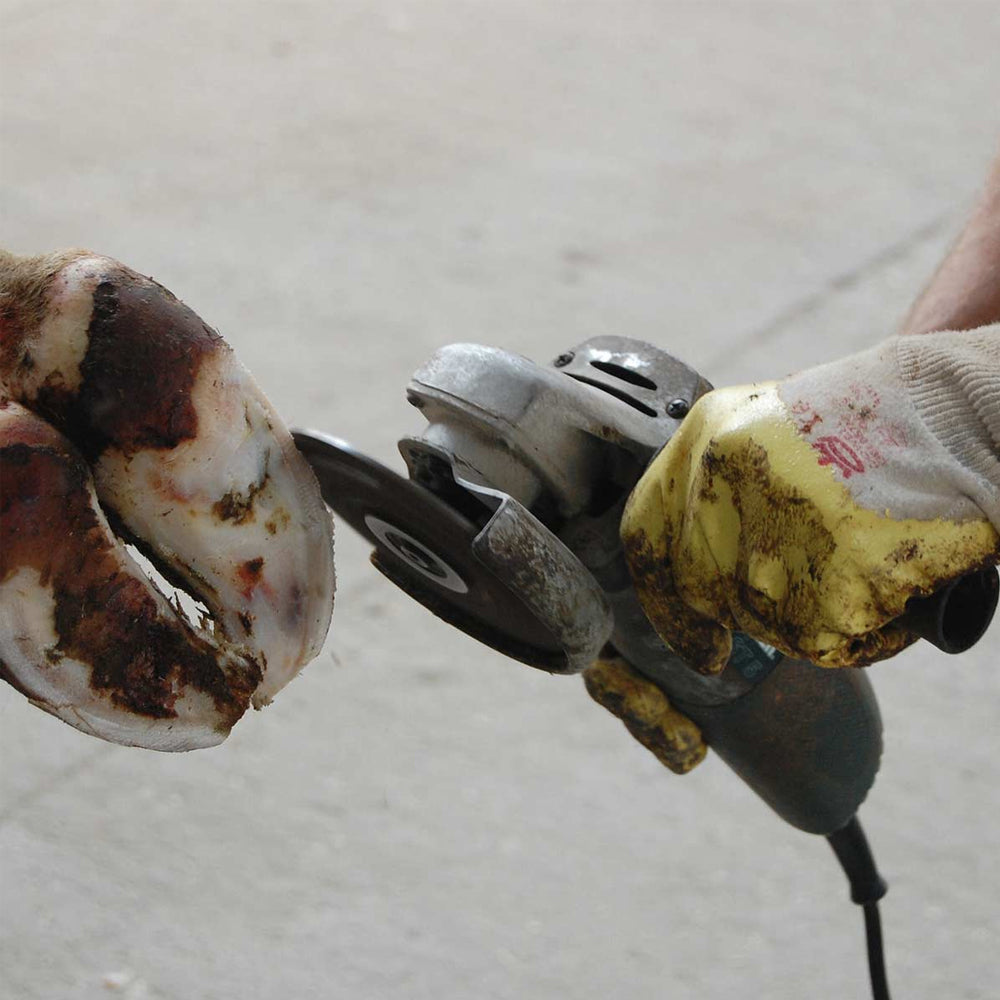 Dischi Per Pulire Zoccoli 115