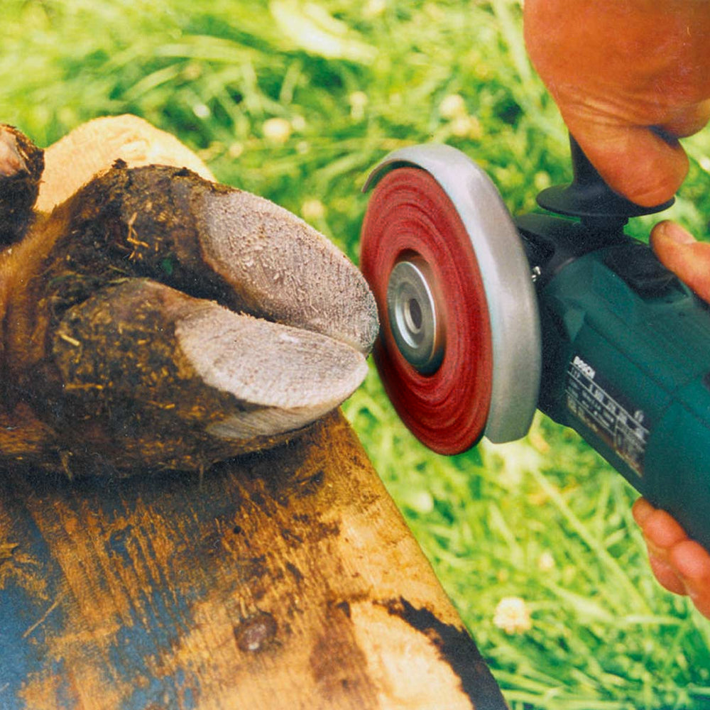 Dischi Per Pulire Zoccoli 115