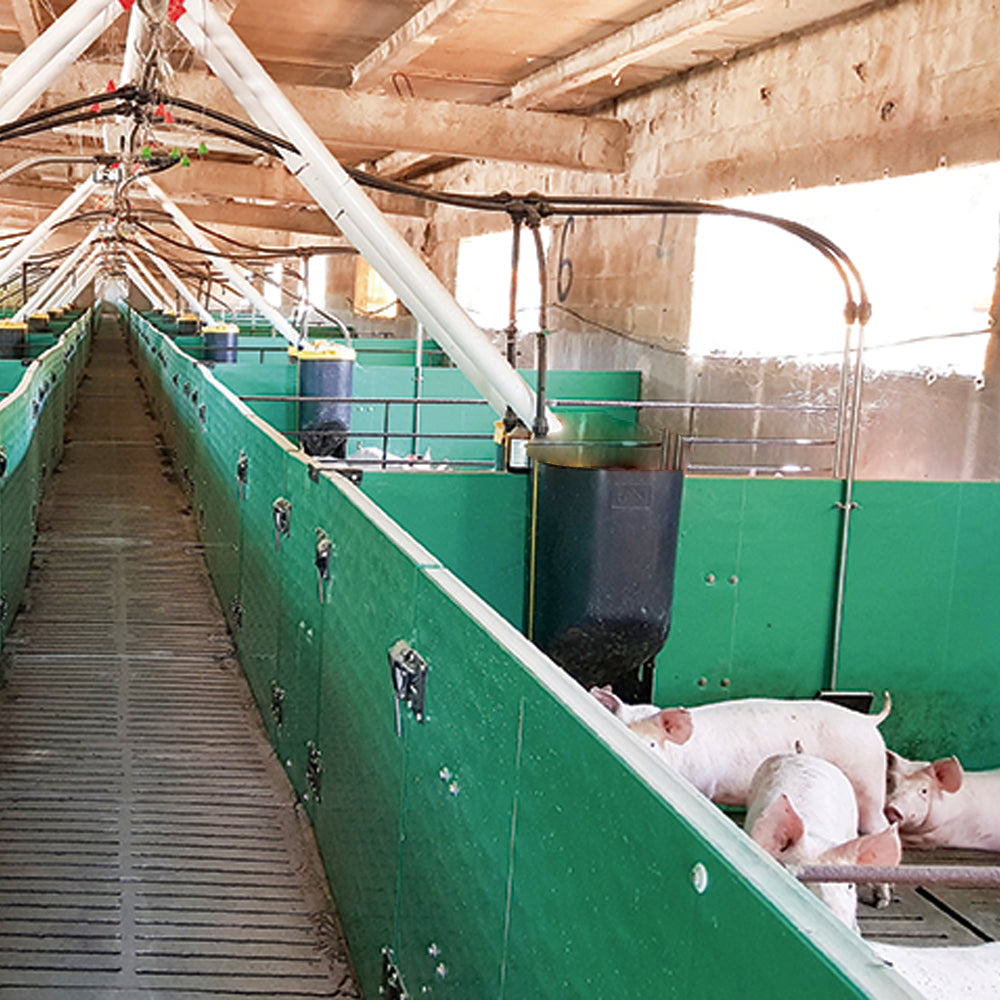 Fornitura automatica per maiali da ingrasso - 60l