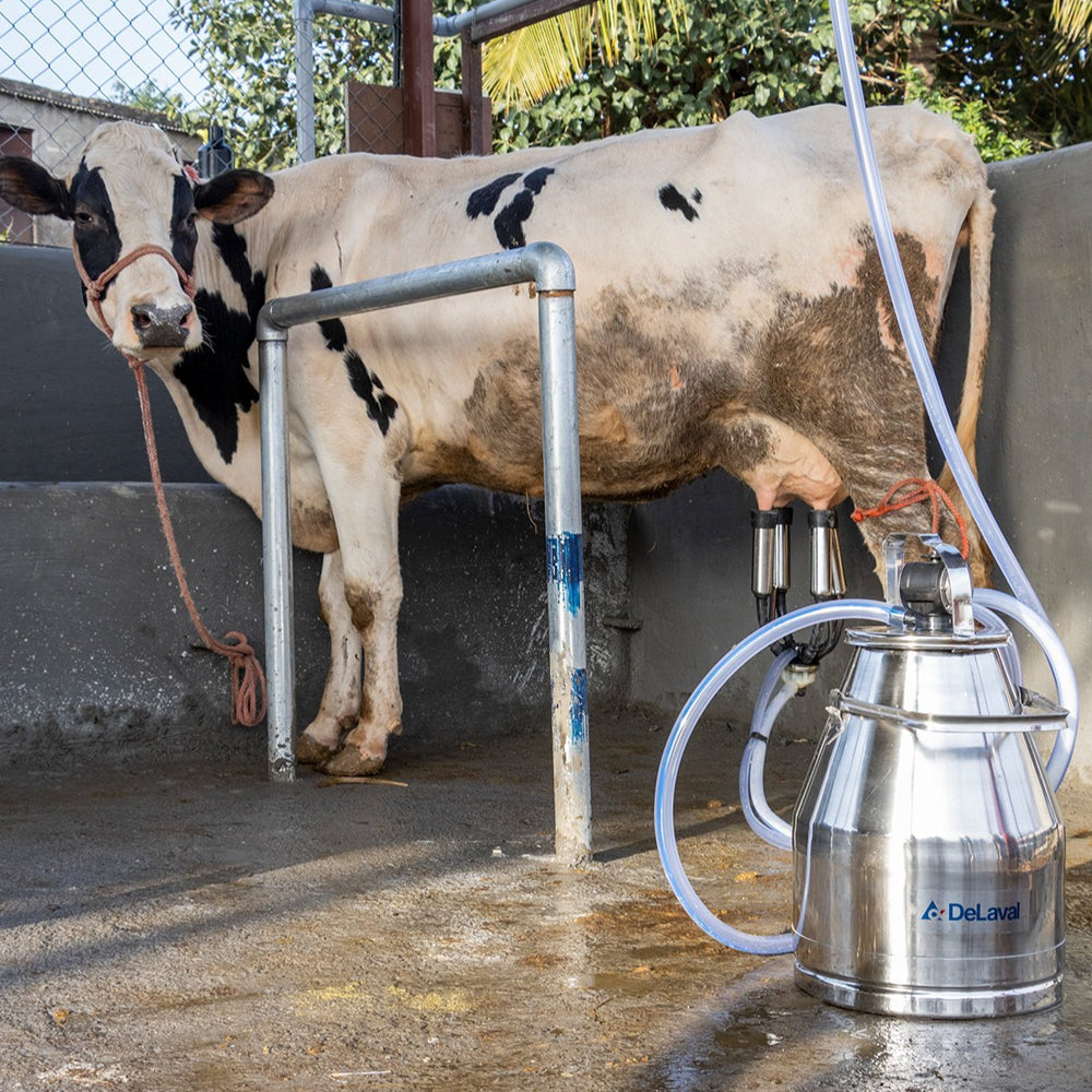 Tettarella Corta per Mungitrice DeLaval