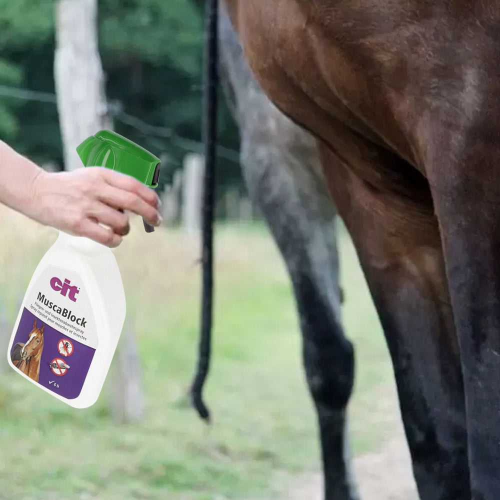 Cit Repellente per insetti Spray antinsetti MuscaBlock