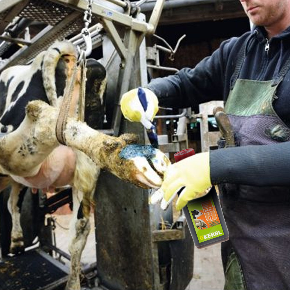 Tintura per la cura degli zoccoli ClauFit