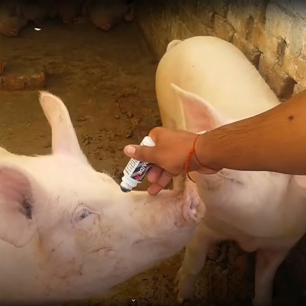 Colore per tatuaggi Raidex