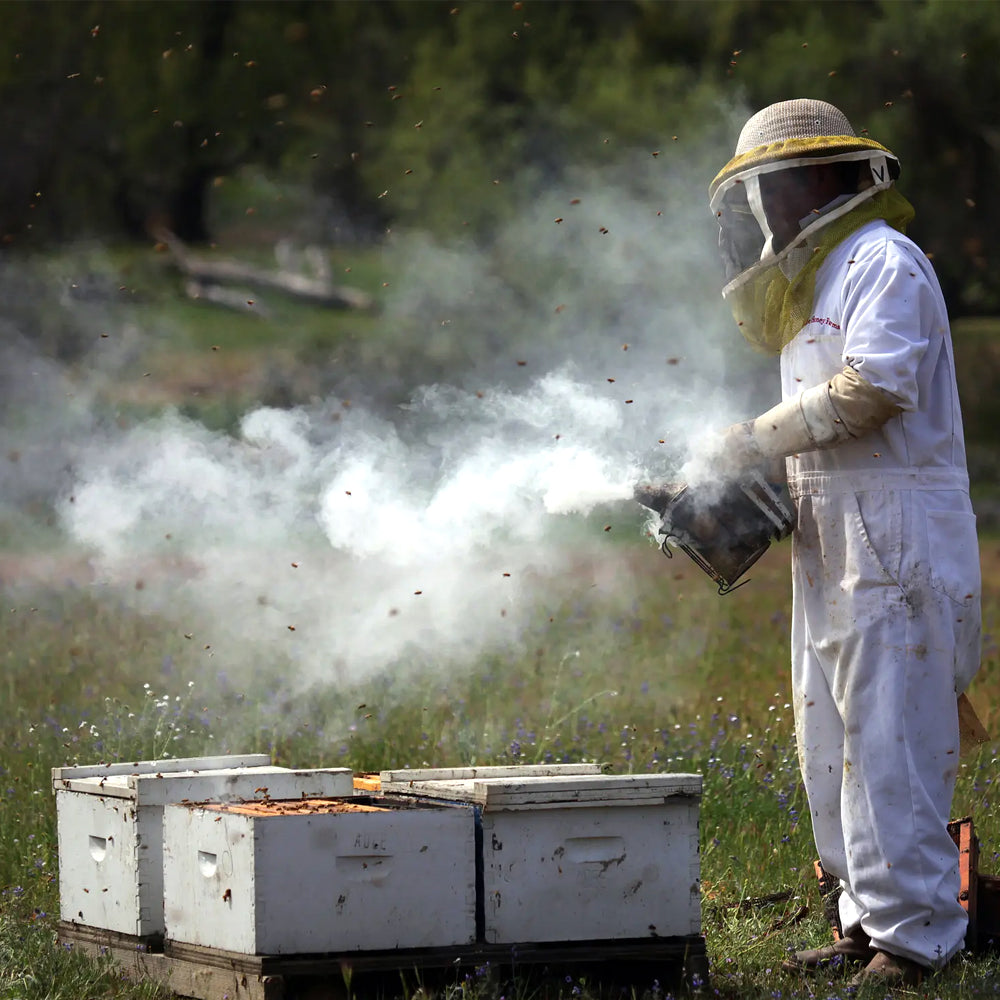 Affumicatore Api® Classico 10 cm Acciaio inossidabile