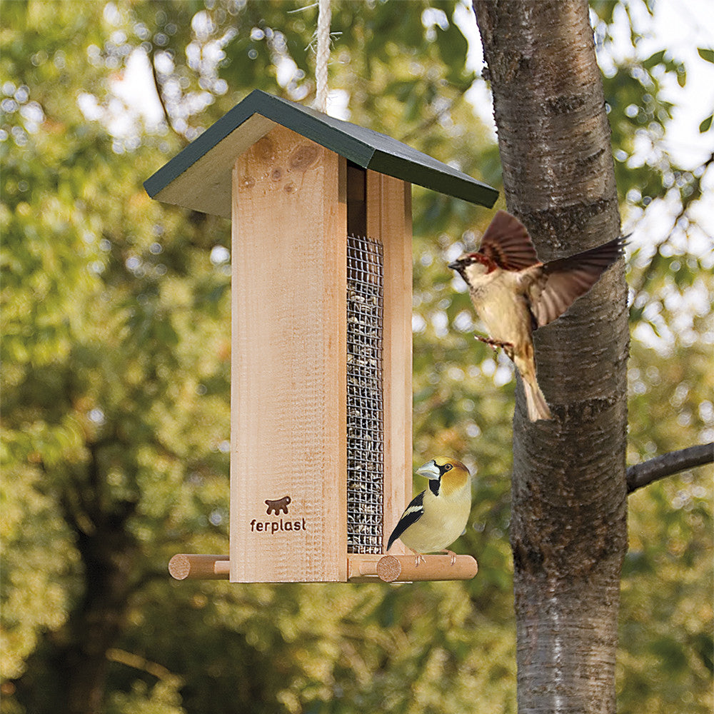 Mangiatoia uccelli selvatici 5