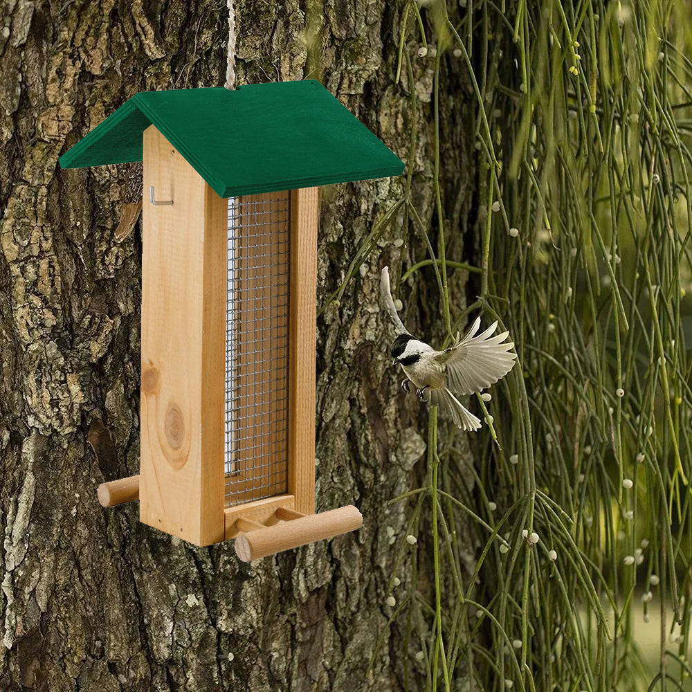 Mangiatoia uccelli selvatici 5