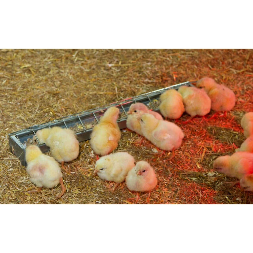 Mangiatoia per polli zincata 75 cm