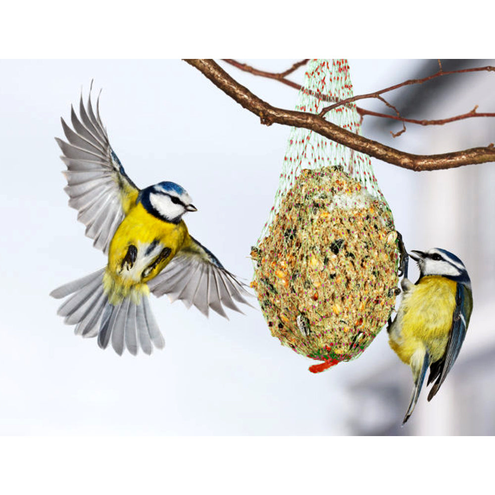 Palle di grasso per uccellini 570gr