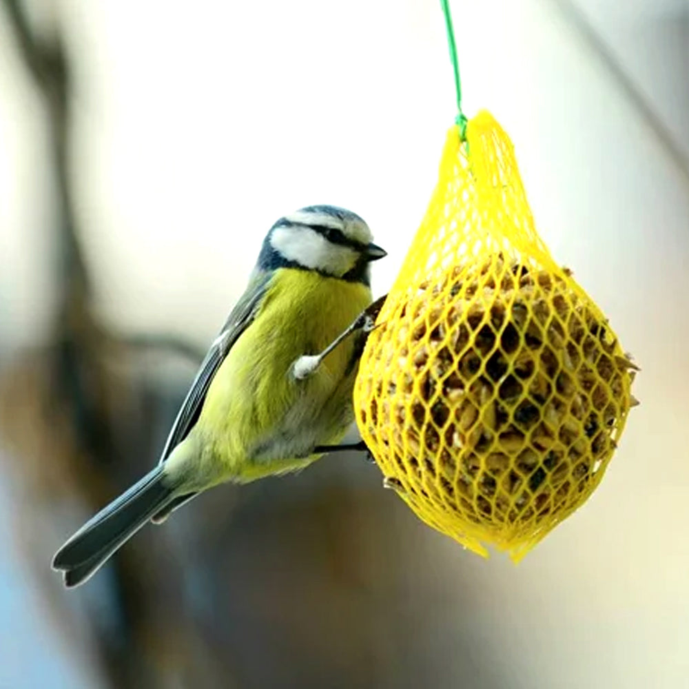 Palle di grasso per uccellini 570gr