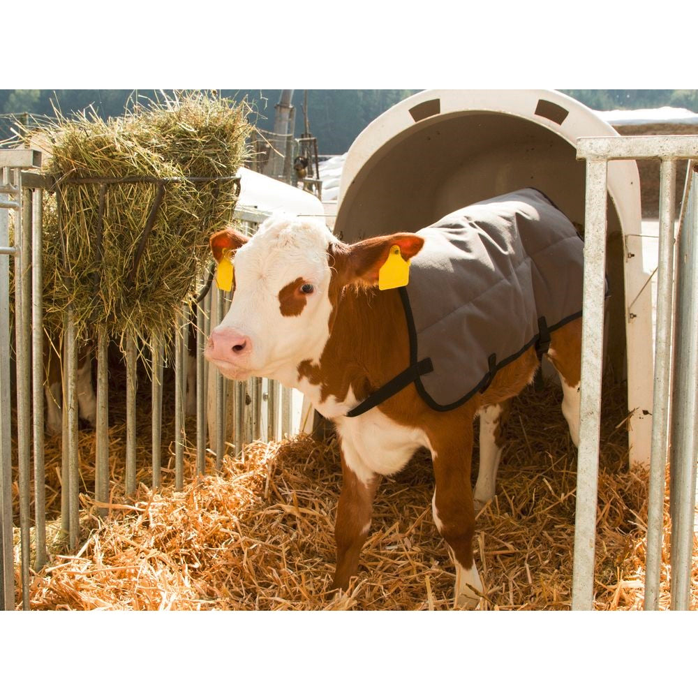 Coperta per vitelli