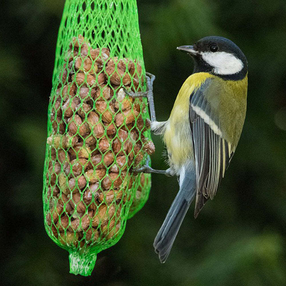 Panto Bastoncini 3 pezzi da 260g cibo per uccelli