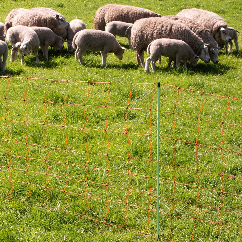 Pascolo Kombinetz 90/1