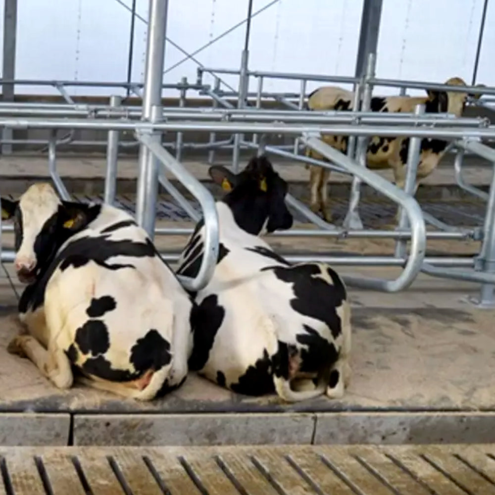 Cubicoli Classic System