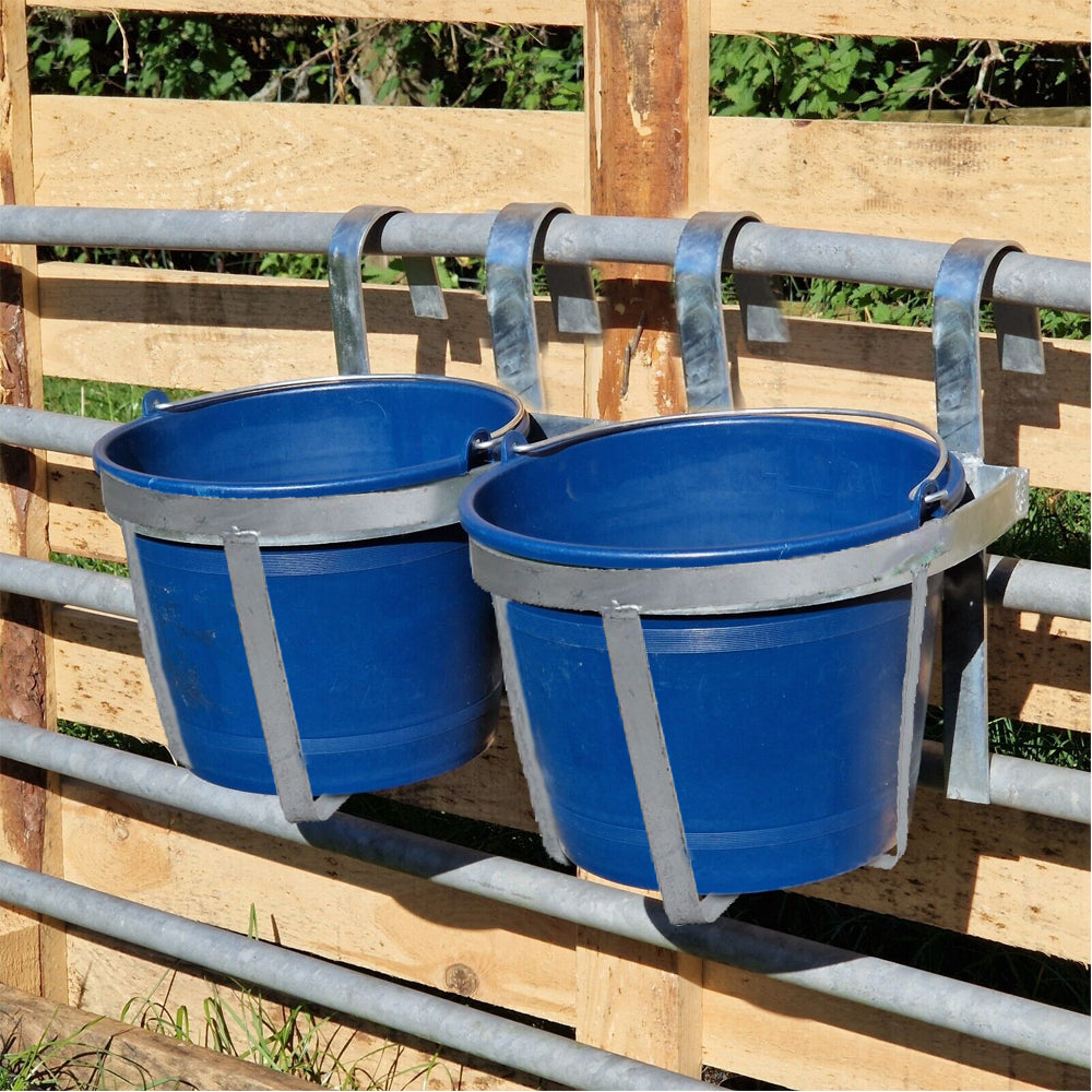 alimentazione bovini