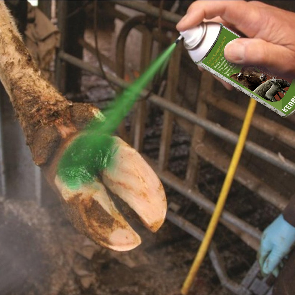 Spray verde per la cura degli zoccoli per bovini e ovini 400ml