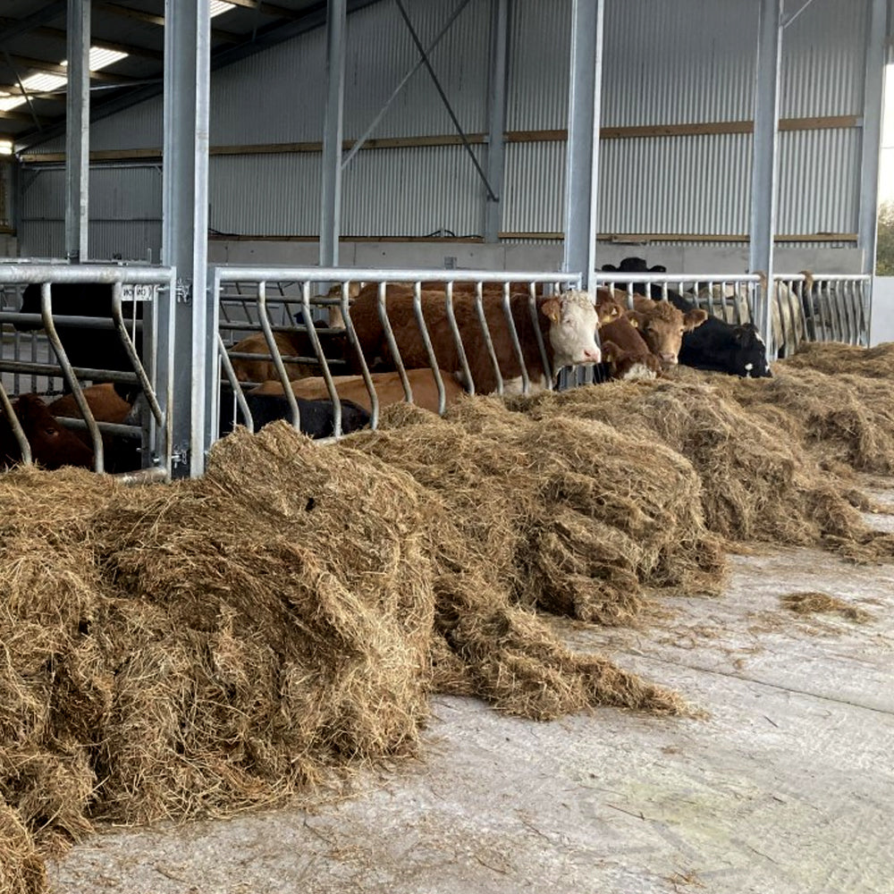 Diagonale alimentazione anteriore per giovani bovini