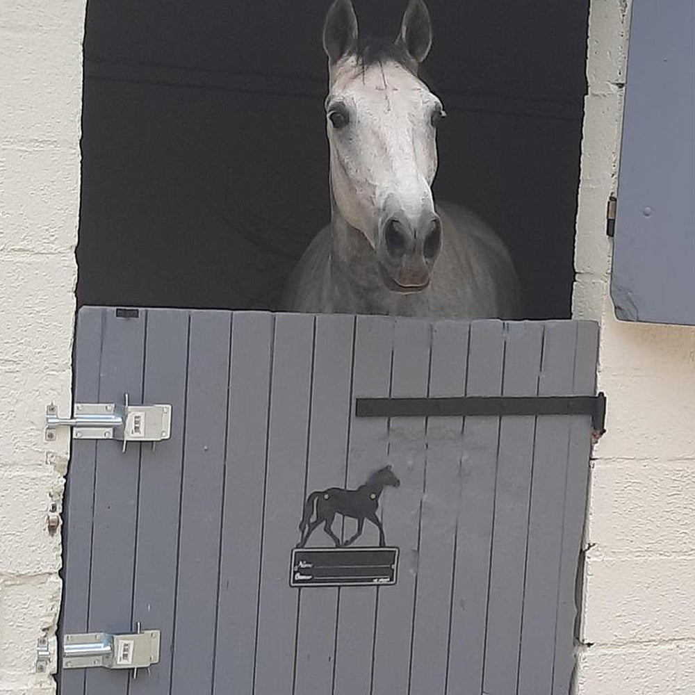 Chiavistello metallo zincato per stalla