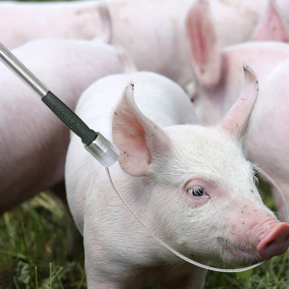 Attrezzo per cattura e blocco dei suini 60 cm