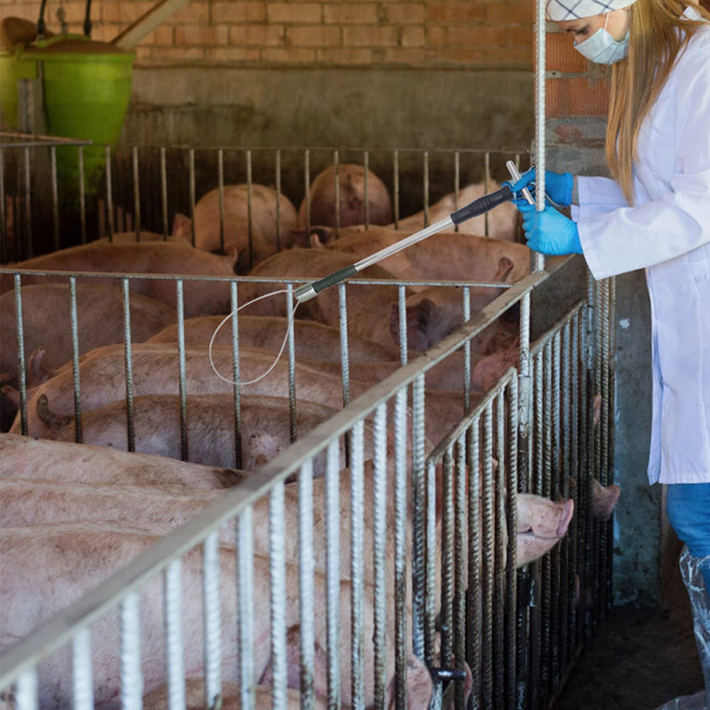 Attrezzo per cattura e blocco dei suini 60 cm
