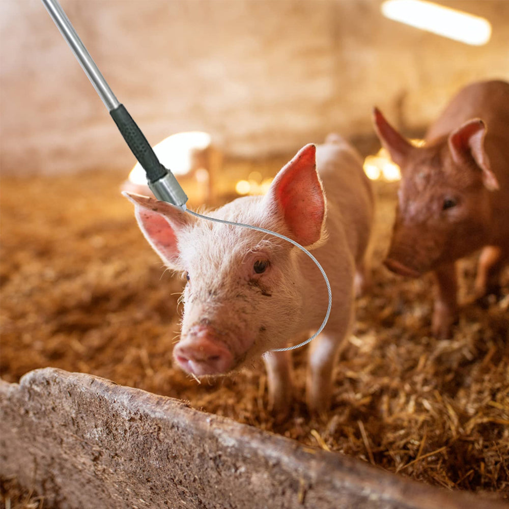 Attrezzo per cattura e blocco dei suini 60 cm