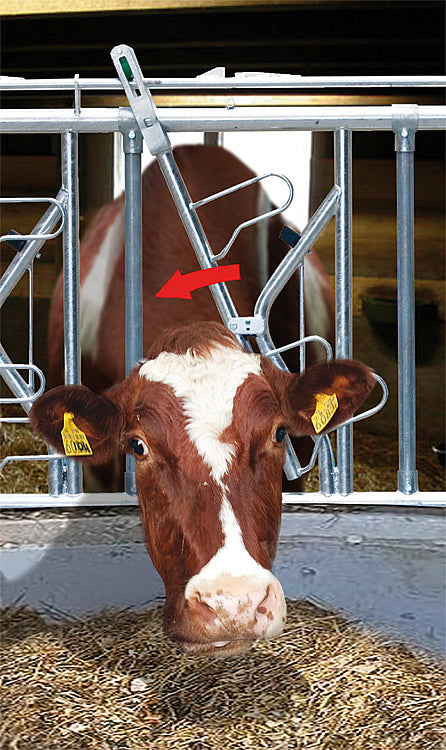 Recinzione di alimentazione di sicurezza autobloccante tipo SSV