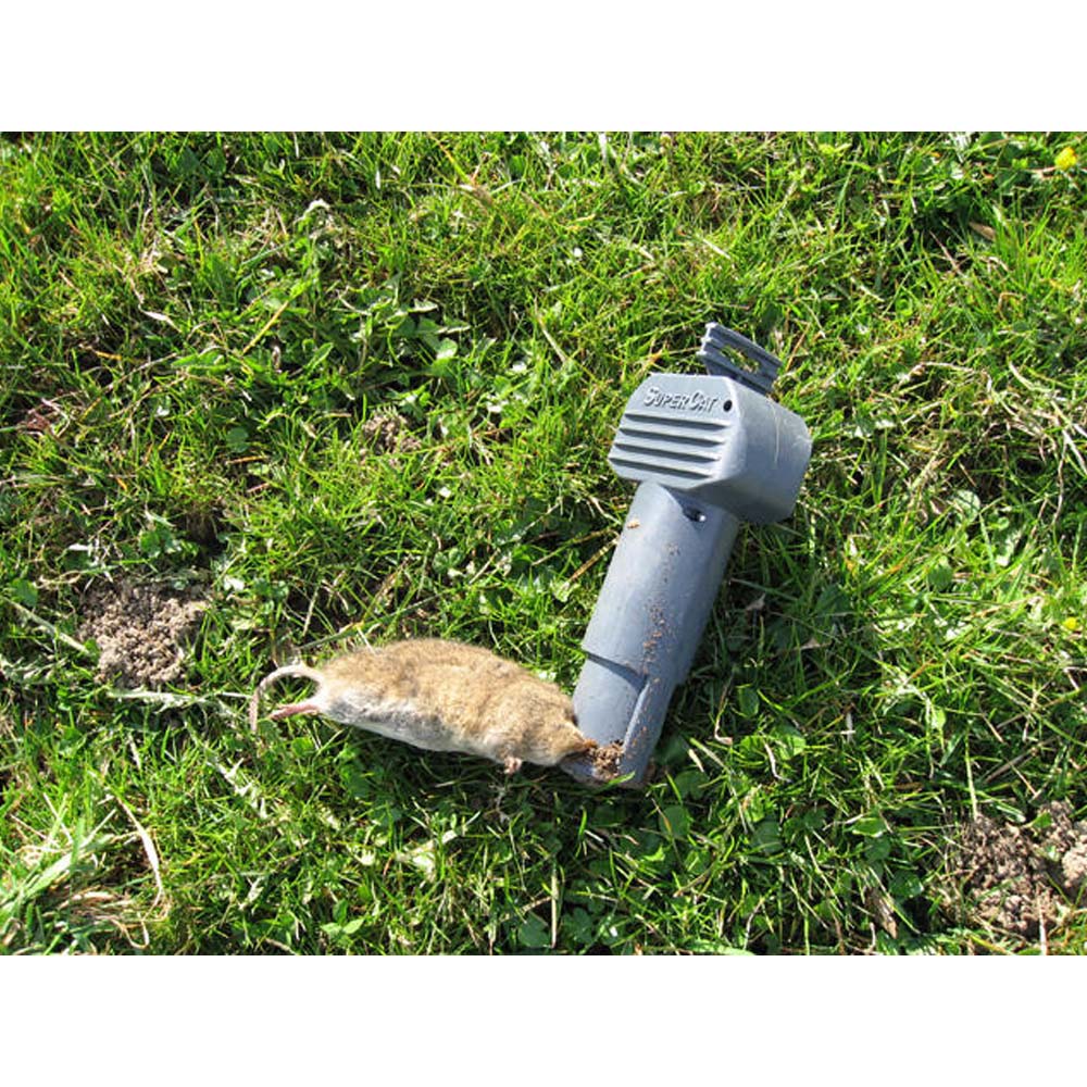 Trappola Per Topi E Talpe In Plastica