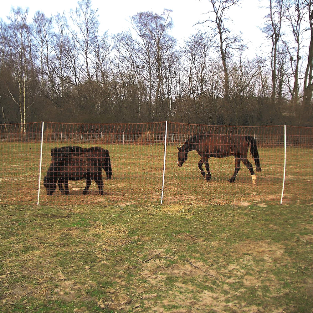 Rete Euro Mustang 145/2 50 mt