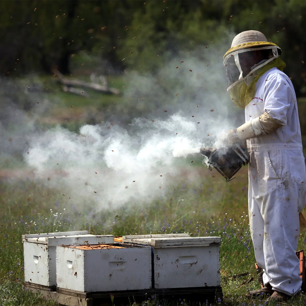 ApiSmoker® Classic 8cm Acciaio Inox – Soffiatori per Apicoltura