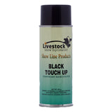 Touch Up Spray