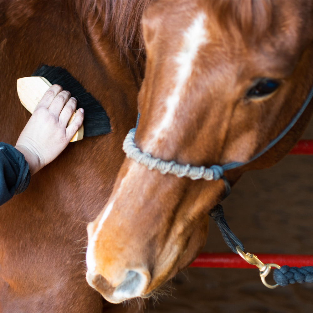 Spazzola con setole nere