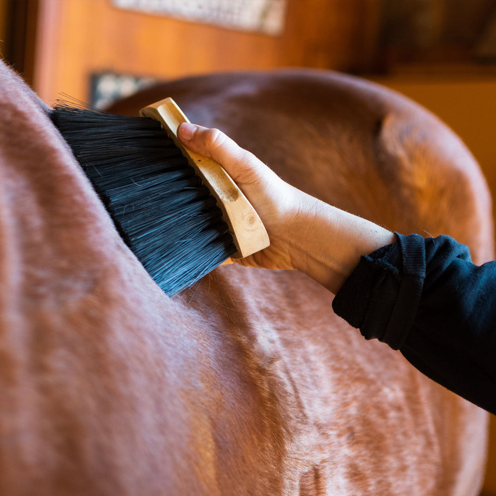 Spazzola con setole nere