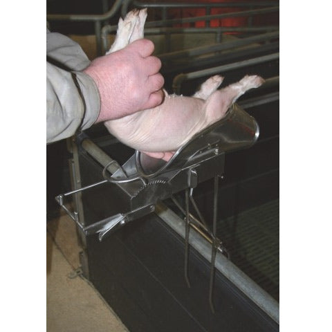 Apparecchio per castrazione e supporto per suinetti fino