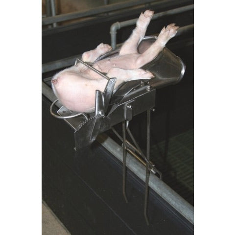 Apparecchio per castrazione e supporto per suinetti fino