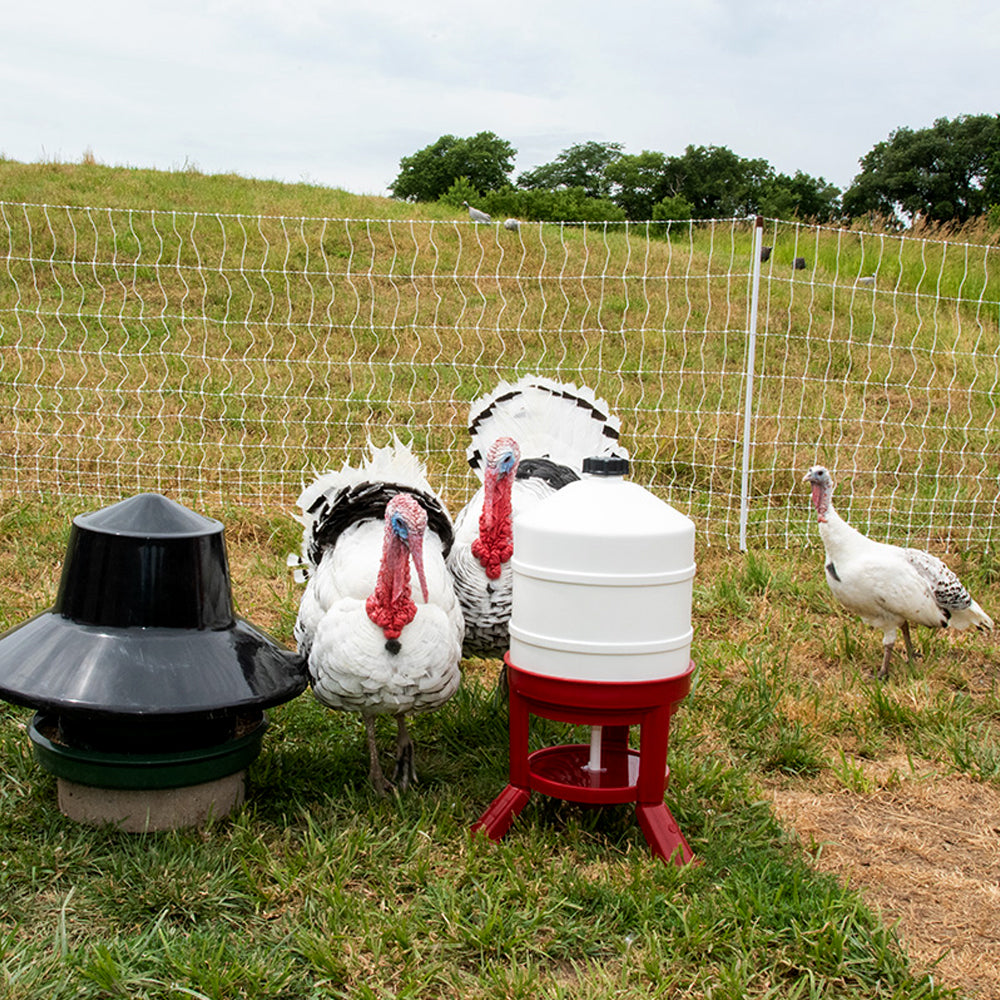 Abbeveratoio per Pollame in Plastica Antiurto - 30L