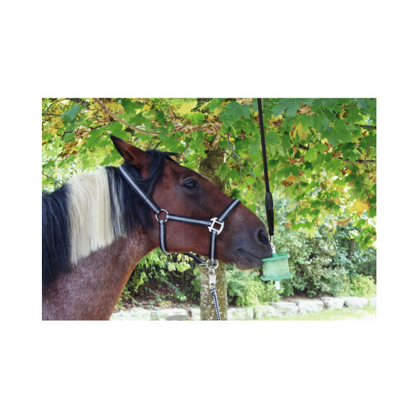 Blocchi Salini E Portablocchi-1