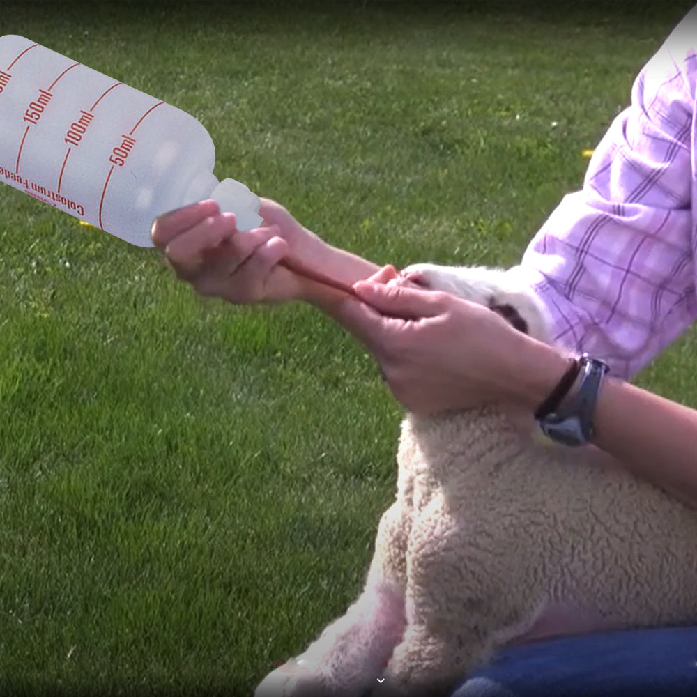 Roslam per agnelli bottiglia sigillata