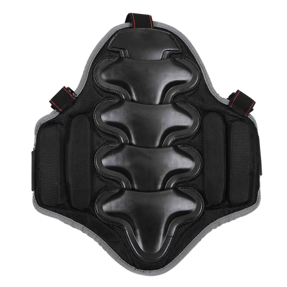 Protezione Posteriore BackPro