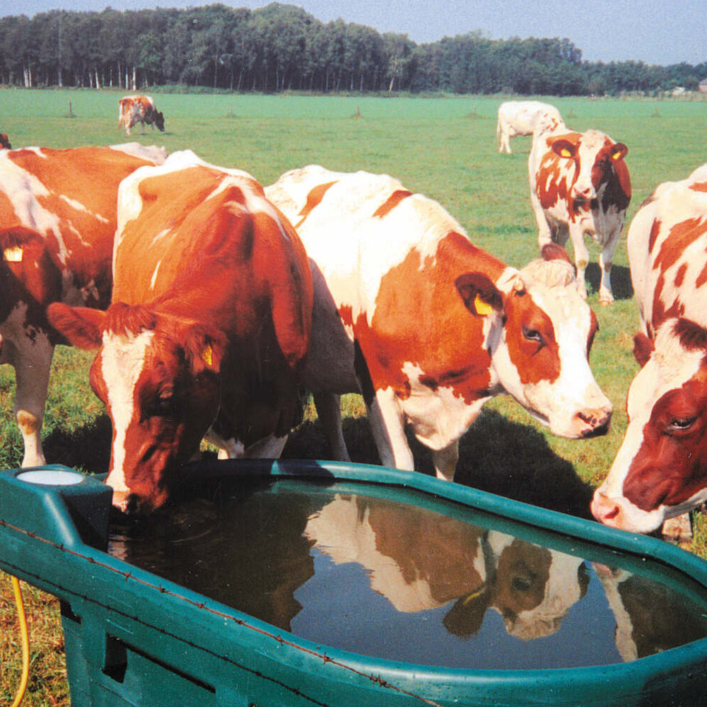 Vasca per pascolo wt 200 senza galleggiante