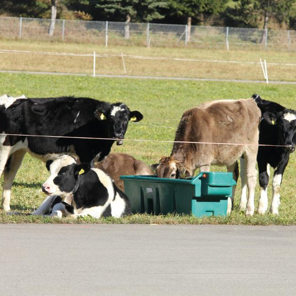 Vasca per pascolo wt 200 senza galleggiante