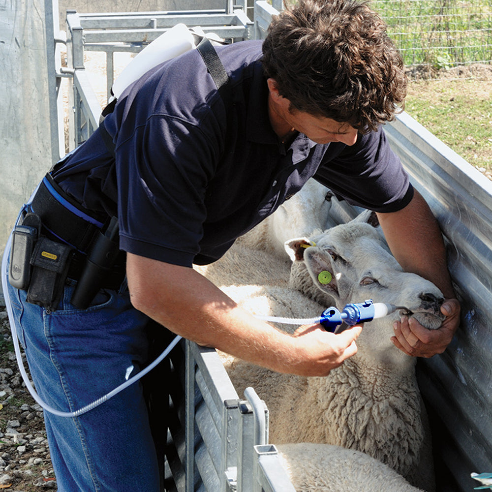 Tanica per siringa Drenchmatic