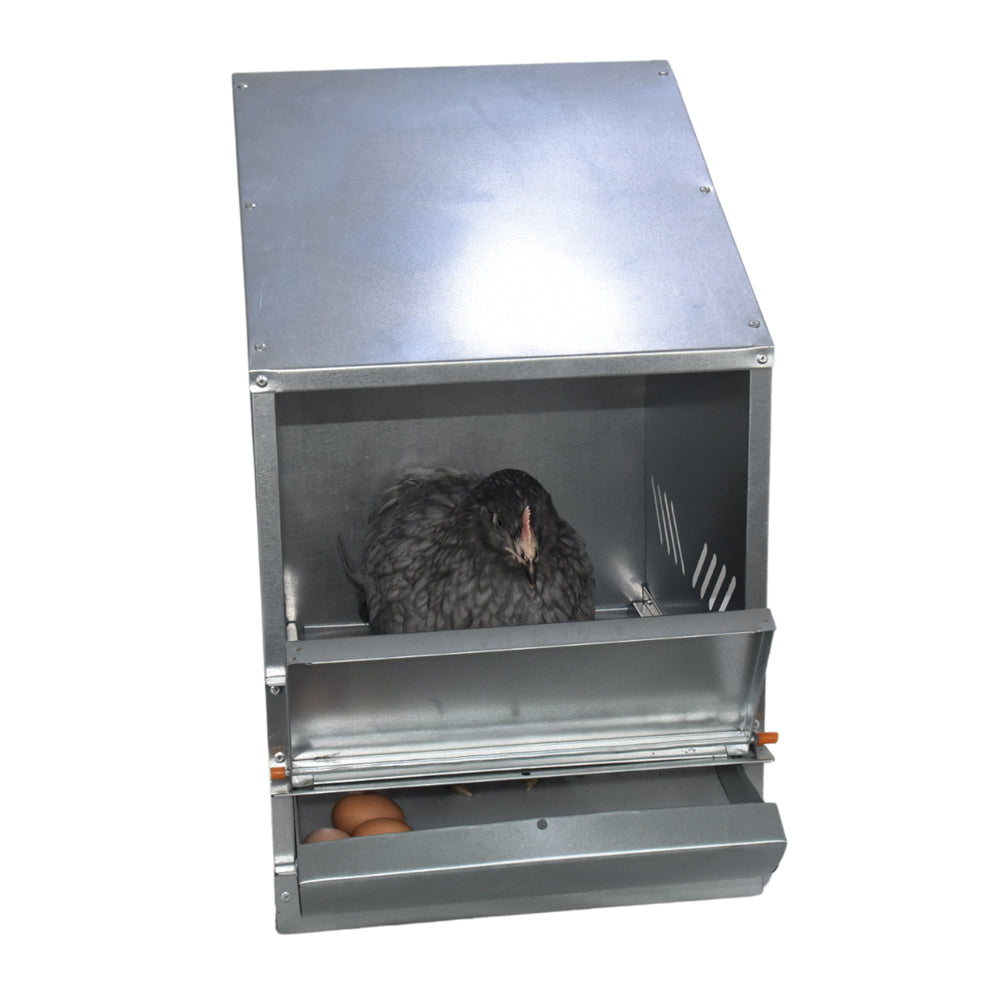 Pollaio per l'ovodeposizione