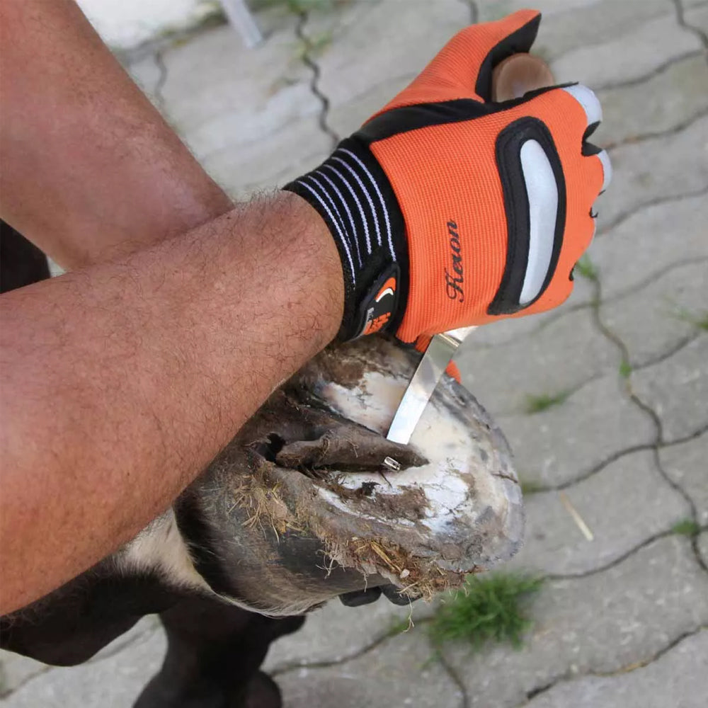 Coltello per zoccoli AESCULAP con manico in ebano