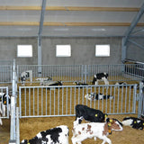 Divisori per i vitelli con tubi verticali