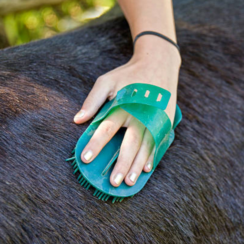 Striglia in plastica con aghi sottili